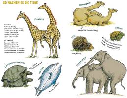 aufklärung für kinder: warum ein deutsches sachbuch eltern in florida empört