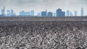 DWD-Vorhersage: Nebel, Frost und Glättegefahr in Hessen