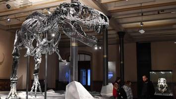 Kommt der eintrittsfreie Museumssonntag zurück? Kultursenatorin prüft Neustart