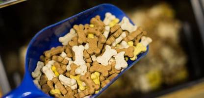 hundefutter bei kaufland wegen salmonellen zurückgerufen