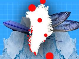 wirtschaft: ist grönland eine schatzinsel?