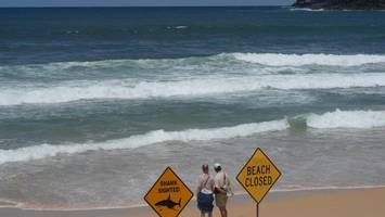 hai-attacken in australien: 12-jähriger wird angriff wohl nicht überleben