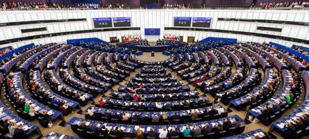 Knappe Entscheidung: EU-Parlament stimmt für Prüfung von Mercosur-Deal