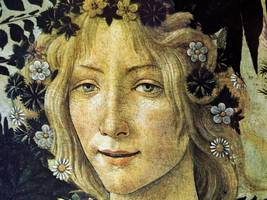 Literatur: Warum so merkwürdig?