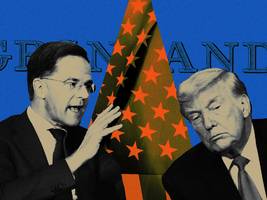 Grönland: Wie Trumps Bombe entschärft wurde