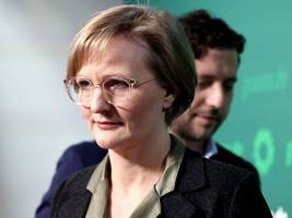 grüne: „die abstimmung im europäischen parlament war ein fehler“