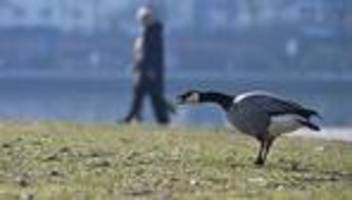 Glatte Straßen: Frostige Nächte in Hessen erwartet