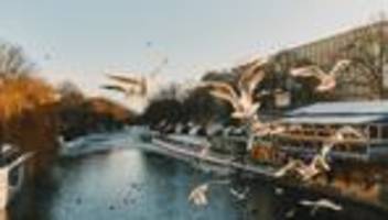 Maybachufer in Berlin: Das lässigste Ufer