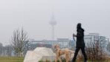 Wetterbericht: Kurz sonnig, dann grau - Wolken ziehen im Südwesten auf