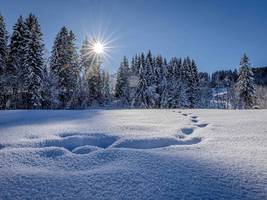 Kolumne „Hin und weg“: Bloß nicht weitersagen