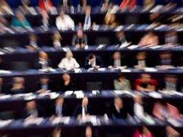 Ernst nicht verstanden: Grüne zoffen sich nach Mercosur-Abstimmung