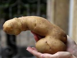 umstrittene studie zu penislänge: kommt es doch auf die größe an?