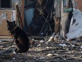 weitere einwohner haben glück: jugendlicher bei russischem angriff auf südukraine getötet