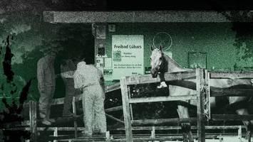 „kein fehlschlag bitte“: ein grausamer mord unter pferde-freunden