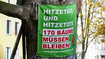 streit in pankow eskaliert: gesobau will bäume fällen – ohne genehmigung