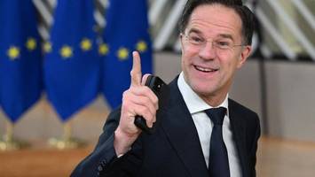 Nato-Chef Rutte ist schmerzfrei: Trump bejubelt, Grönland-Krise entschärft