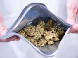 cannabis in deutschland: endet die legalisierung durch die hintertür?