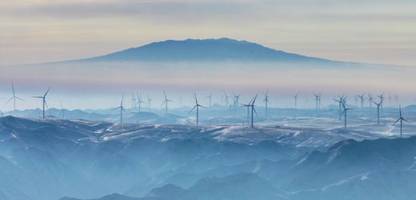 Donald-Trump-Rede in Davos: China widerlegt Windkraft-Aussagen