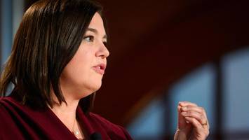 grüne landespolitiker gehen auf distanz zu parteifreunden im eu–parlament