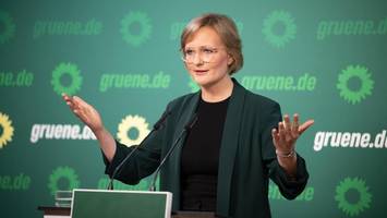 Zerteilt Grünen-Chefin hier Trumps Schädel? Kürbis-Video von Brantner irritiert