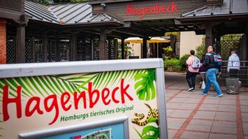 zootier des jahres 2026 gewählt – auch in hagenbeck gibt es zwei prachtexemplare