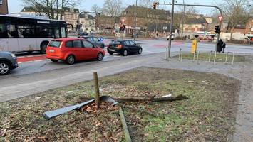 Trauriges Bild: Alleebäume in Lohbrügge auf Kniehöhe abgesägt