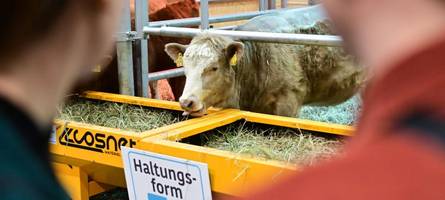 hohe standards sind ein trumpf der deutschen bauern