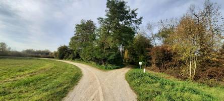 Trauer-Spaziergang: Angebot des St. Vinzenz-Hospiz