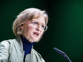 vorstandsbeschluss: grüne plädieren nach mercosur-streit für mehr handelsabkommen