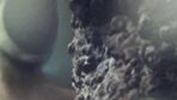 Pierre Huyghe: Nie war Künstlers Kopf so leer