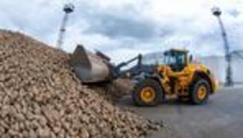 Zuckerrüben: Rund 1,8 Millionen Tonnen Zuckerrüben in Anklam verarbeitet