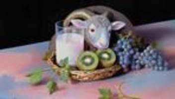 dogwhistles: geheime codes in gemütlichen memes