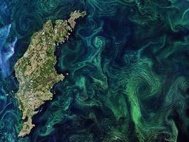 Umwelt: Die Ostsee, das sterbende Meer