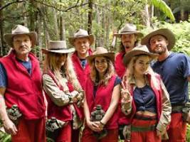 37 grad erwartet: dschungelcampern droht hitzewelle