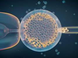 Angeborenes Risiko: Studie findet genetische Ursache für Fehlgeburten