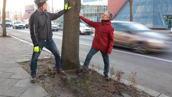 Reinickendorf: Protest gegen Kahlschlag in der Ollenhauerstraße