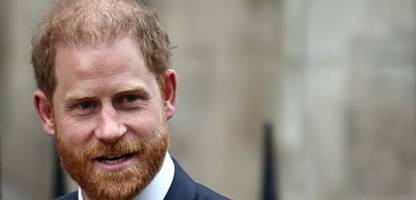 Prinz Harry fordert von Trump Respekt für britische Soldaten