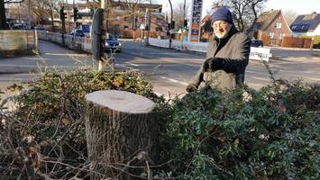 Baumfällungen entsetzen Anwohner in Rahlstedt – „Sicht- und Lärmschutz“ fehlt