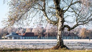 winterspektakel in der lüneburger heide: hotel gibt schneegarantie