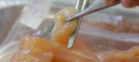 ekelware lagert in augsburger supermarkt – das sind die folgen für den chef