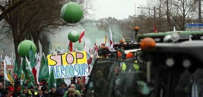 Deutsche Grüne bieten Votum für schnelle Mercosur-Ratifizierung an