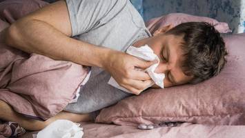 Nach Influenza: Hamburger beklagt „Pferdekutschen-Kommunikation“ mit Behörden