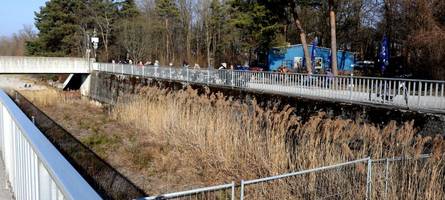 Warum an Lech und Wertach ab Montag Bäume gefällt werden