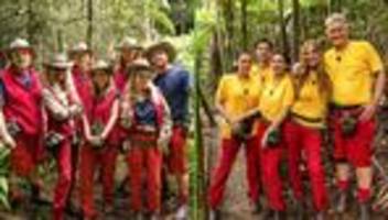 Show an Australiens Ostküste: Einzug in Dschungelcamp: Nicht jeder mag den Bettnachbarn