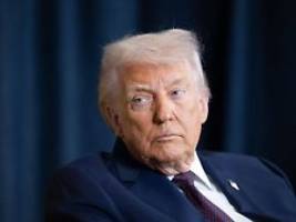 Wer kontrolliert Donald Trump?: Sehe drei Ursachen für Aushöhlung des US-Rechtsstaats