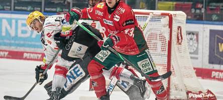 Schmerzhafte Panther-Pleite kurz vor Schluss