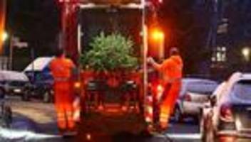 Berliner Stadtreinigung: Weihnachtsbaum vergessen, und nun? BSR bietet Abholservice