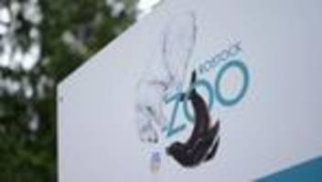 Unwetter: Rostocker Zoo bleibt wegen des Wetters zu