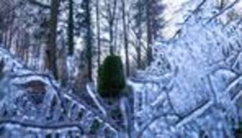 Unwetter: Wildpark in Güstrow und Tierpark Wolgast auch geschlossen