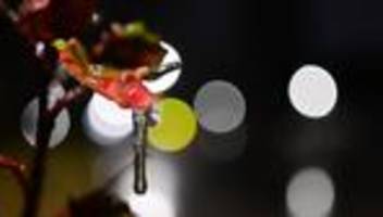 Winter: Unwetterwarnungen für Berlin und Brandenburg aufgehoben